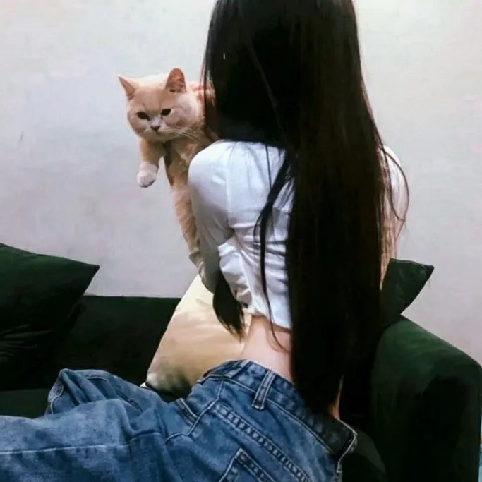 捣蛋鬼弗瑞德