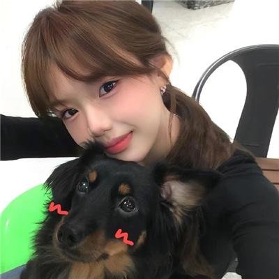 重生退婚妻第二季